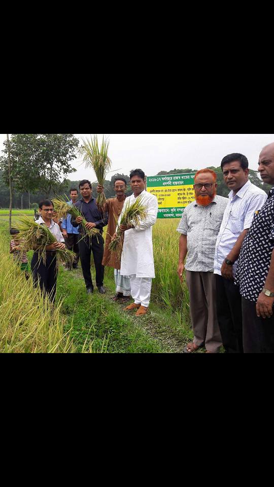 রাজস্ব খাত